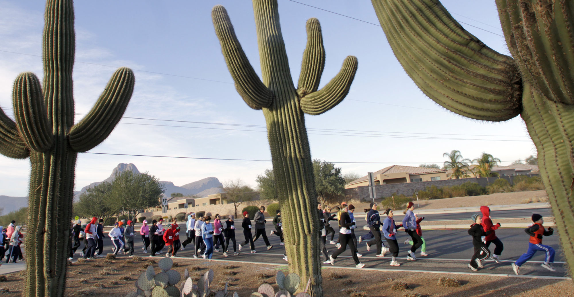 Marana Egg Nog Jog